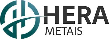 Logo METAPERFIL